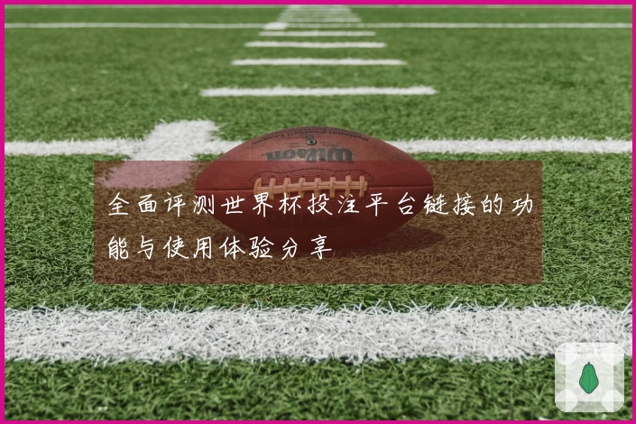全面评测世界杯投注平台链接的功能与使用体验分享