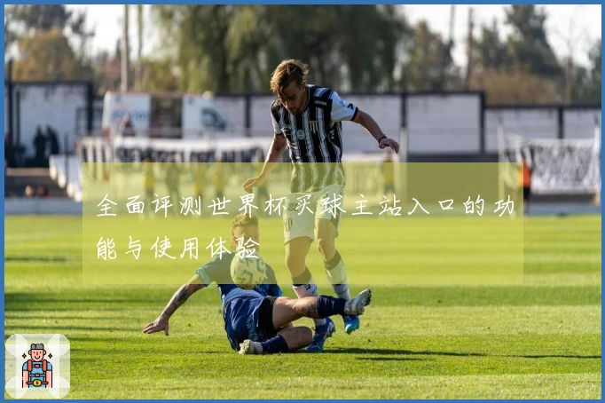全面评测世界杯买球主站入口的功能与使用体验