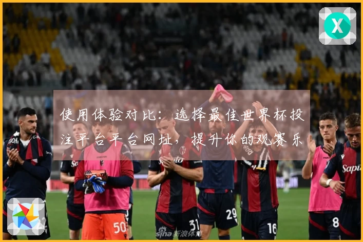 使用体验对比：选择最佳世界杯投注平台平台网址，提升你的观赛乐趣