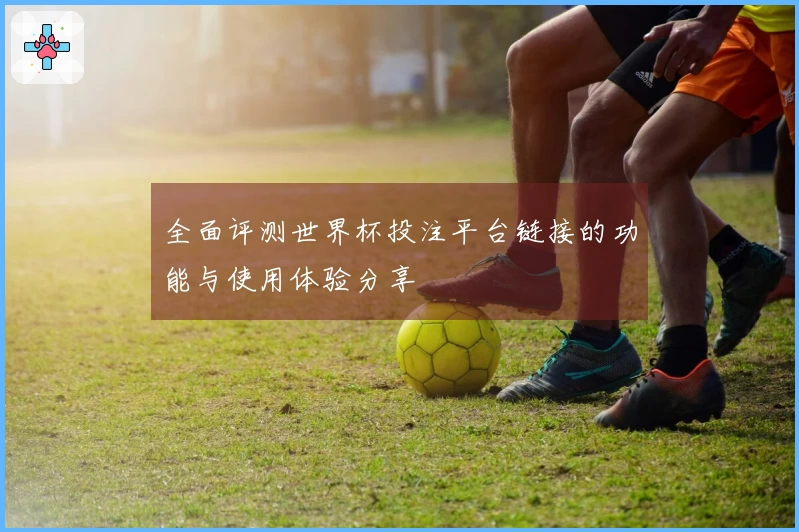 全面评测世界杯投注平台链接的功能与使用体验分享