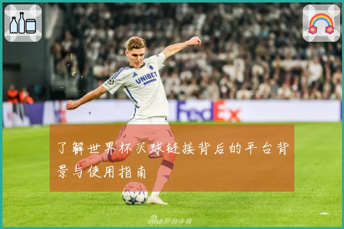 了解世界杯买球链接背后的平台背景与使用指南